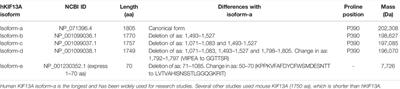 KIF13A—A Key Regulator of Recycling Endosome Dynamics